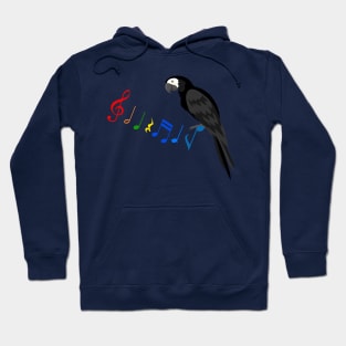 Tropical Parrot with Colorful Musical Notes Hoodie